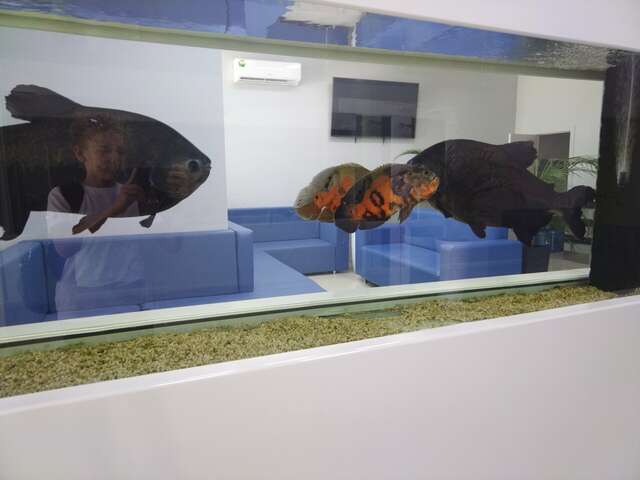 Гостиница Атлантида Анапа-87