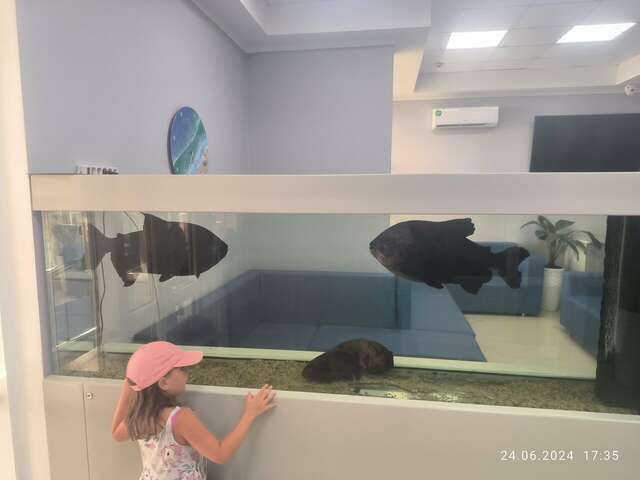 Гостиница Атлантида Анапа-144