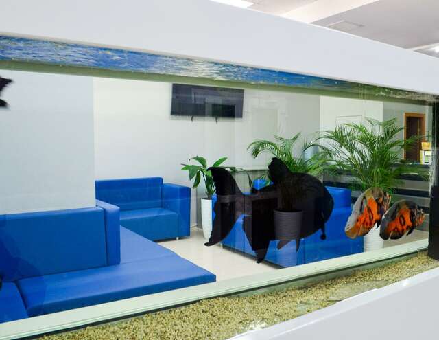 Гостиница Атлантида Анапа-126