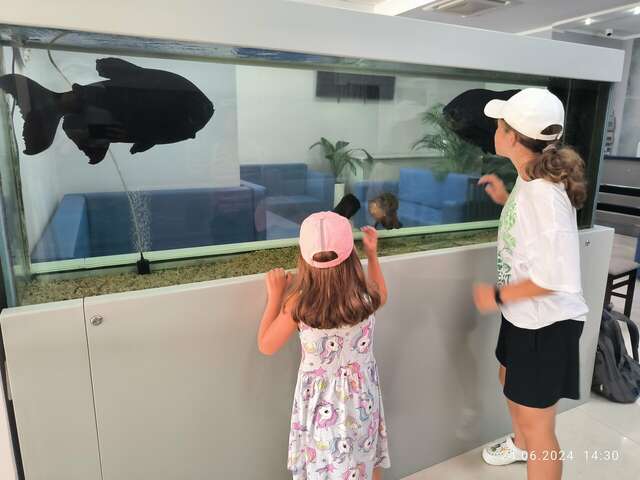 Гостиница Атлантида Анапа-65