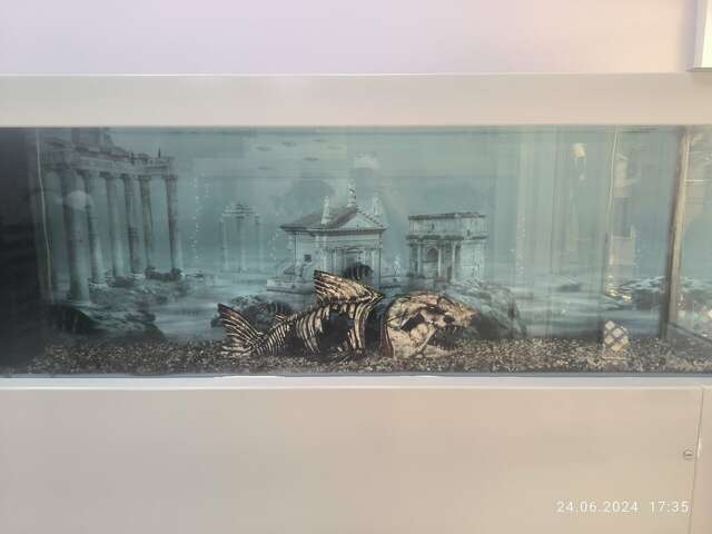 Гостиница Атлантида Анапа-33