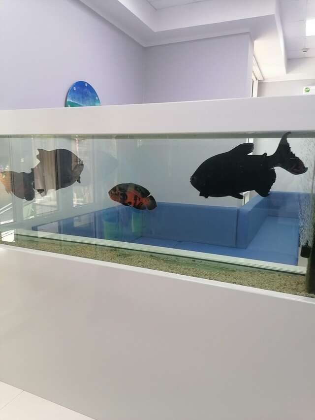 Гостиница Атлантида Анапа-185