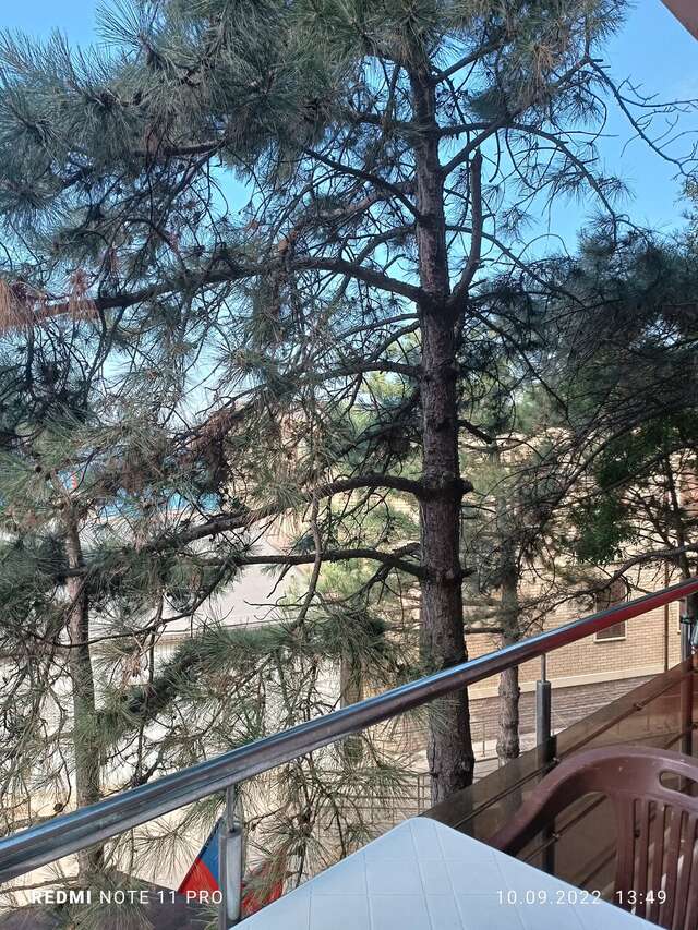 Гостиница Атлантида Анапа-56