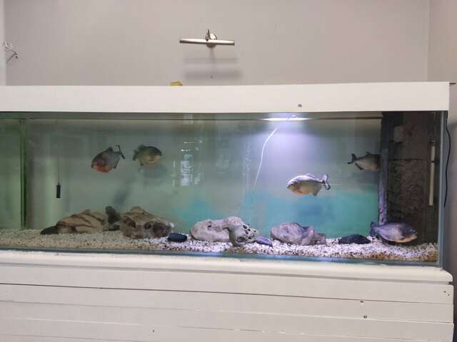 Гостиница Атлантида Анапа-43